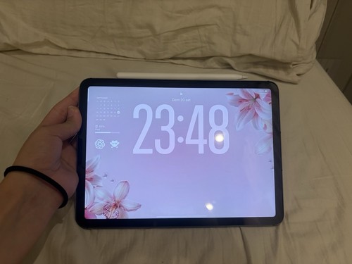 Apple ipad wi fi - ipad, gb